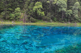 梦幻蓝湖 森林中的绝美之境