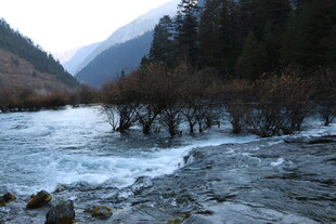 山间湍急溪流与岸边树木