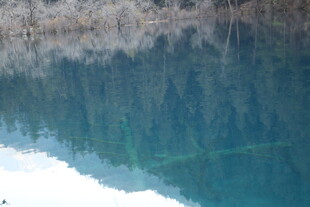 清澈湖水倒映岸边景致