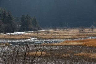冬日旷野中的自然景致