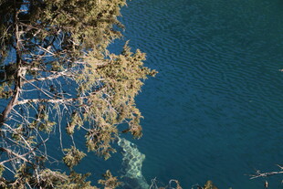 湖畔树枝与幽蓝湖水