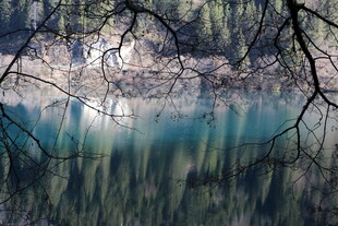 静谧湖水映山林美景