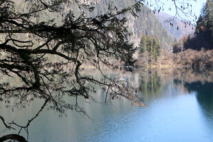 宁静湖畔的自然景致