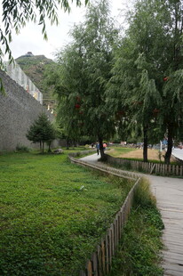 公园小径旁的绿意景观