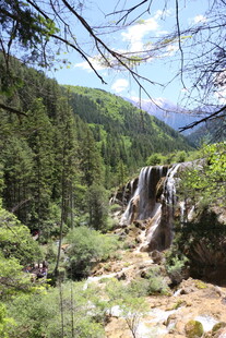 山间瀑布旁的葱郁森林