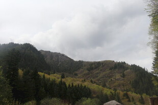 山间云雾缭绕的森林美景