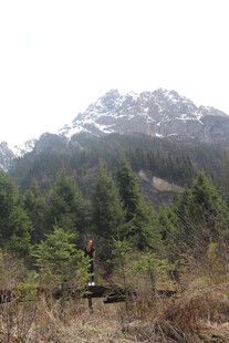 山林间的雪山景致