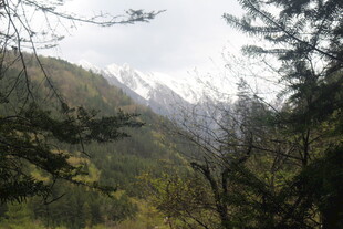 山林间的雪山景致