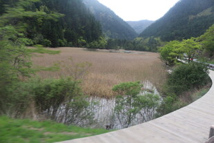 山间步道旁的自然景致