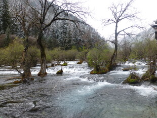 山间溪流冬日景致