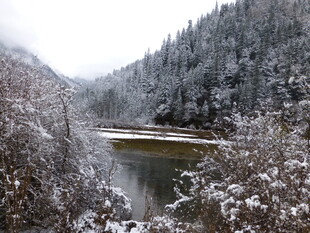 雪覆山林间的静谧湖泊