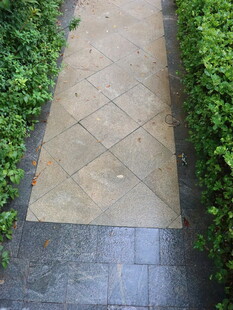 庭院砖石小径绿植环绕