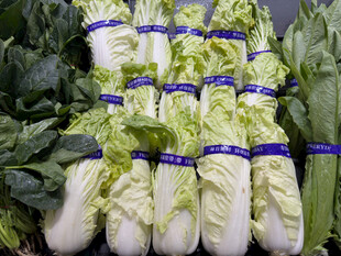 新鲜成捆白菜待售