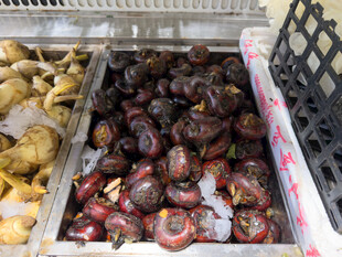 冷藏柜中的荸荠