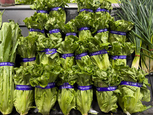 新鲜捆扎蔬菜整齐陈列