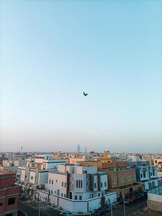 城市天际线与空中飞鸟