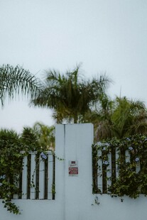 白色围栏旁的绿植景观