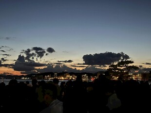 日落时分的天空与树木景观