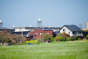 乡村田野旁的多彩 居