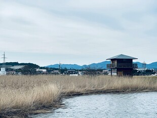 湖畔小屋与芦苇景观