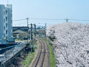 樱花盛开的铁轨风景