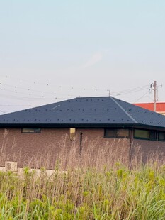 乡村小屋旁的茂盛野草