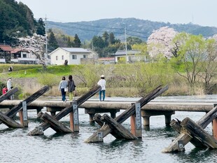 日本木桥边的春日景致