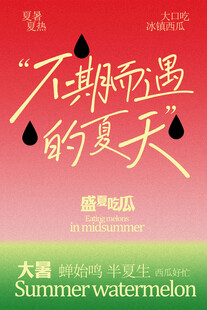 不期而遇的夏天宣传海报