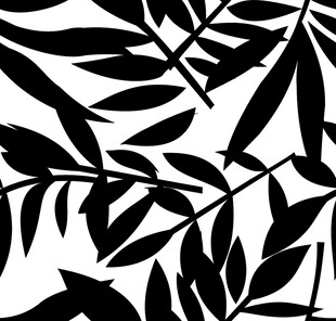 黑白树叶