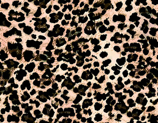 豹纹图案纹理背景图
