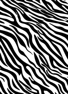 斑马纹抽象图案纹理