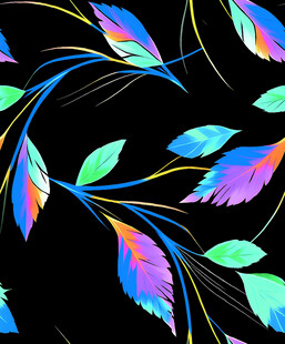 彩色羽毛装饰图案