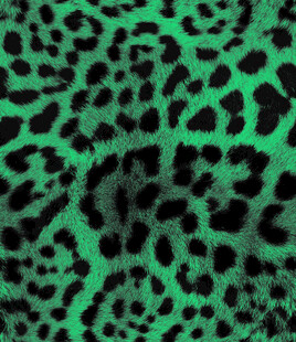 绿色豹纹图案纹理