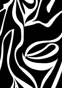 黑白抽象线条艺术图案