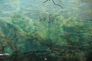 水下奇幻绿植景观