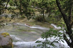 山林间潺潺溪流美景