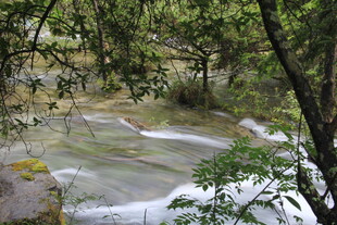 山间溪流潺潺 绿意环绕