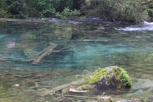 清澈幽潭中的自然景致