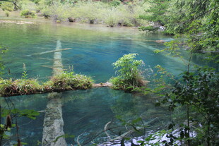 清澈幽蓝的自然潭水景观