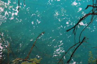 清澈蓝绿海水与漂浮物