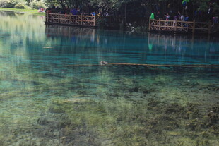 清澈见底的幽蓝水下世界