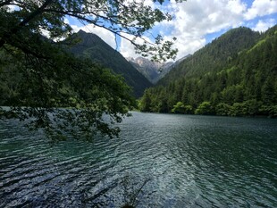 宁静山林间的清澈湖水