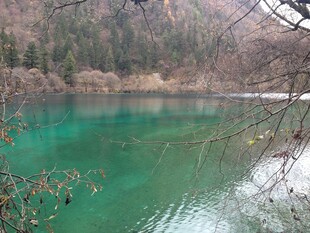碧绿湖水映山林美景