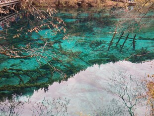 九寨沟清澈碧绿的湖水