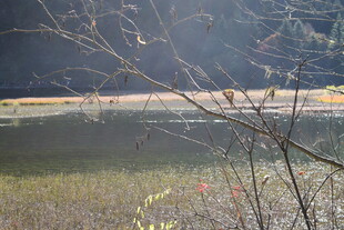 山林间的开阔水域景色