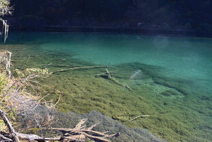 清澈见底的幽美水底世界