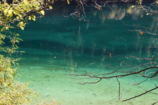 清澈碧绿的湖水美景