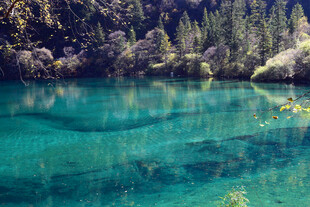 梦幻蓝绿色湖泊森林美景