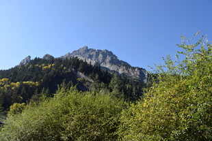 青山葱郁间的巍峨山峰