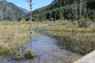 山间溪流旁的自然景致